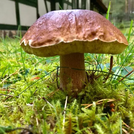 Czarcia Appartamento Smoldzinski Las