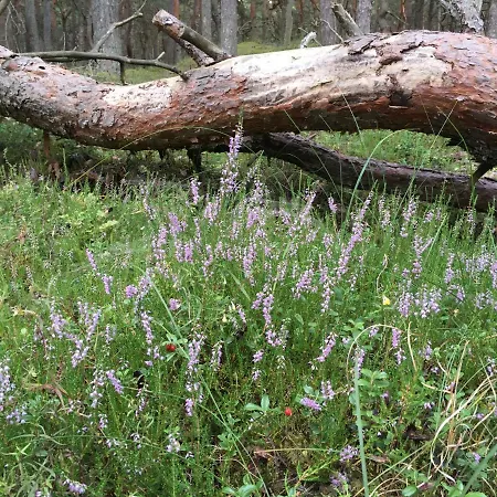 Czarcia Appartamento