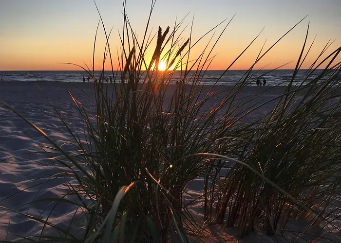 Czarcia Smoldzinski Las